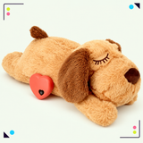 Brown heartbeat plush dog toy with removable heart module