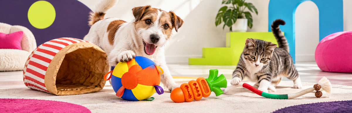 Happy pets and owners with Xstrapetm toys