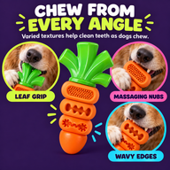 Dog chewing leaf grip massaging nubs and wavy edges