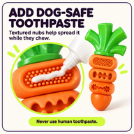 Dog-safe toothpaste applied to textured carrot chew toy nubs
