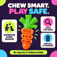 Dog chew toy supervision wear check and replacement guide