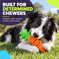 Border Collie chewing orange carrot toy on grass