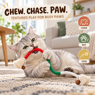 Cat playing with flexible cotton chew rope