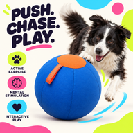 Dog herding ball designed for active exercise mental stimulation and interactive play