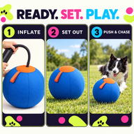 How to inflate set out and play with an inflatable dog herding ball